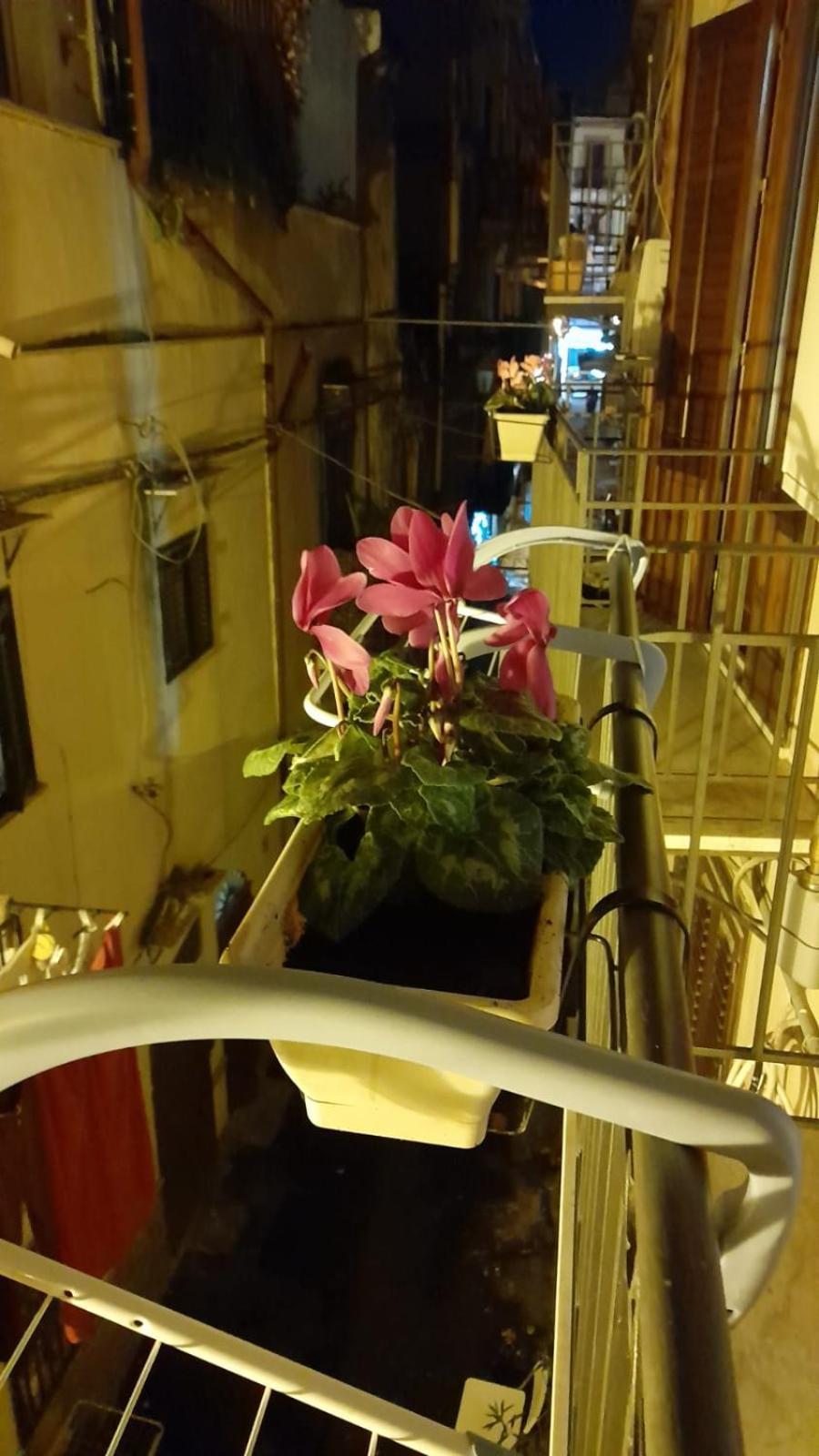 Casa Kyla Apartment Palermo Bagian luar foto